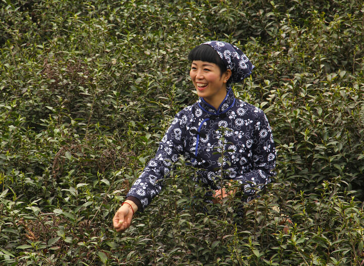 十大直播app